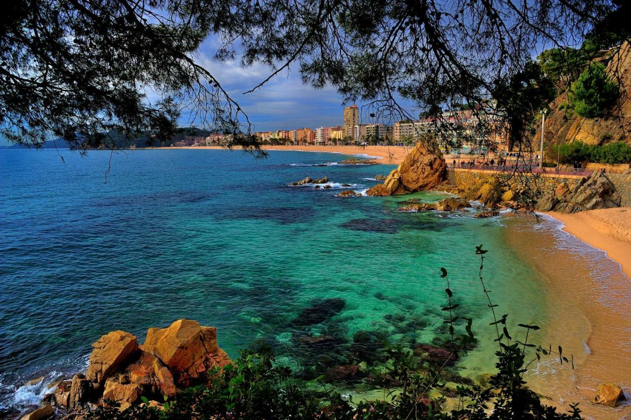 Hébergement de vacances Soleia Holidays *
