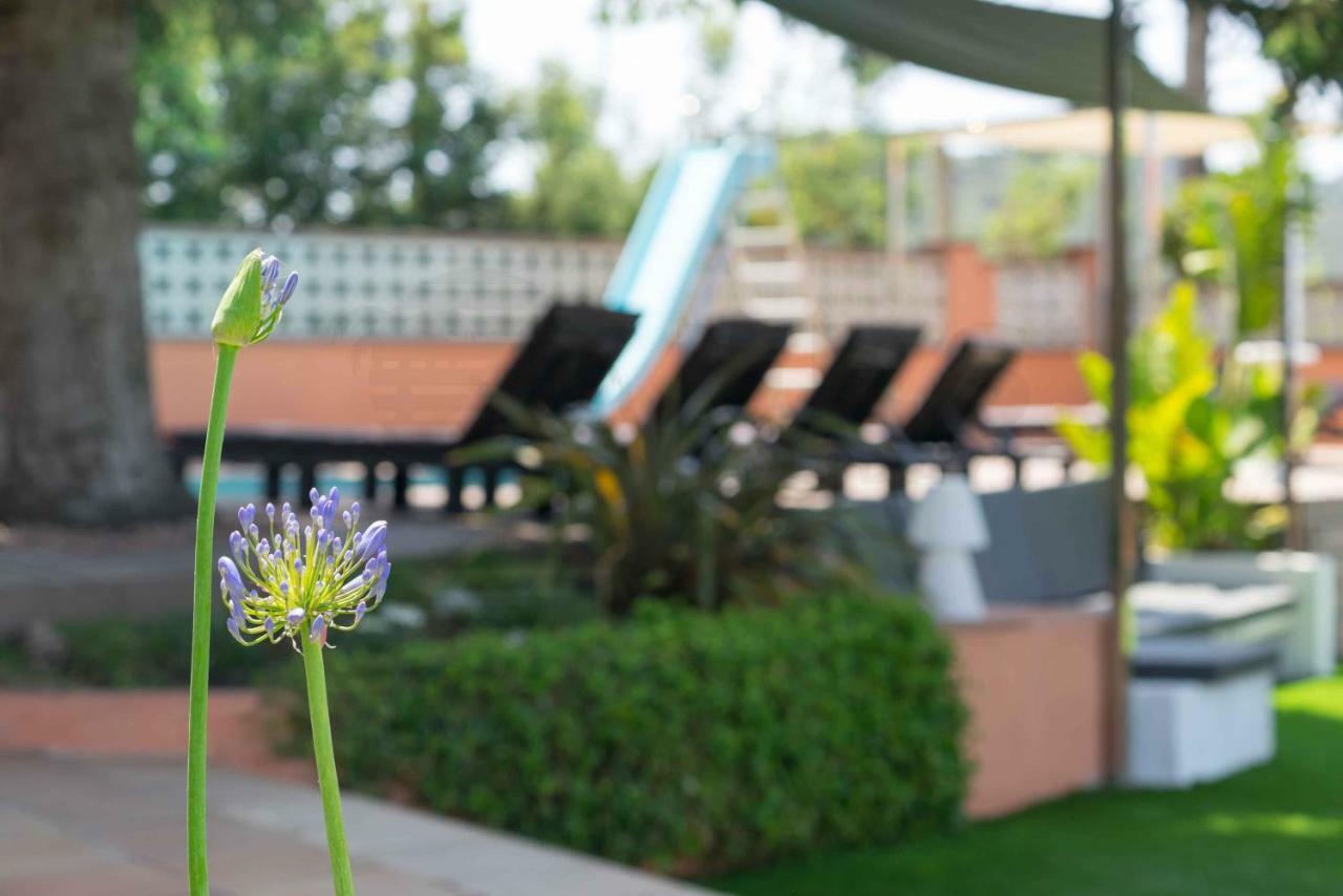 Hébergement de vacances Soleia Holidays Lloret de Mar